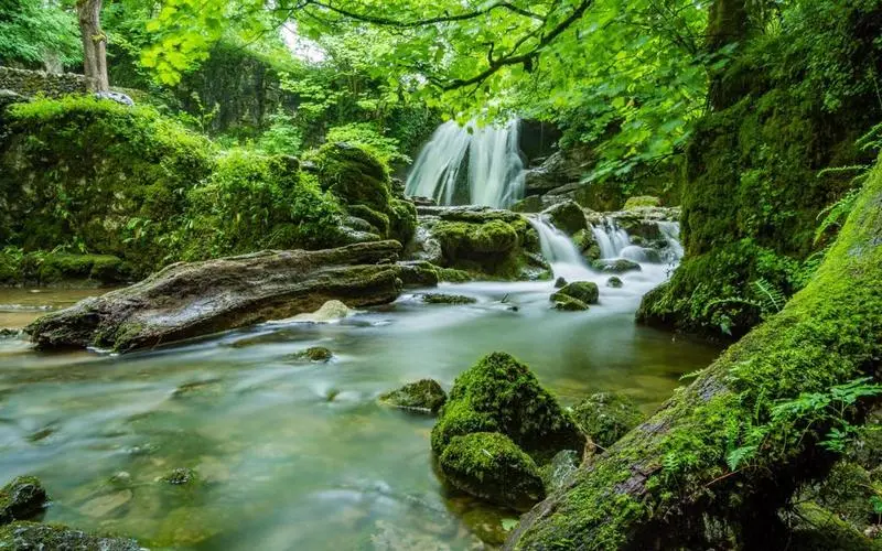 智能系统可靠性智能